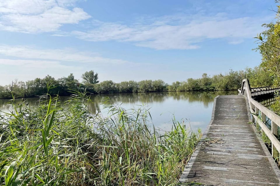 Surroundings [summer] (1-5 km)
