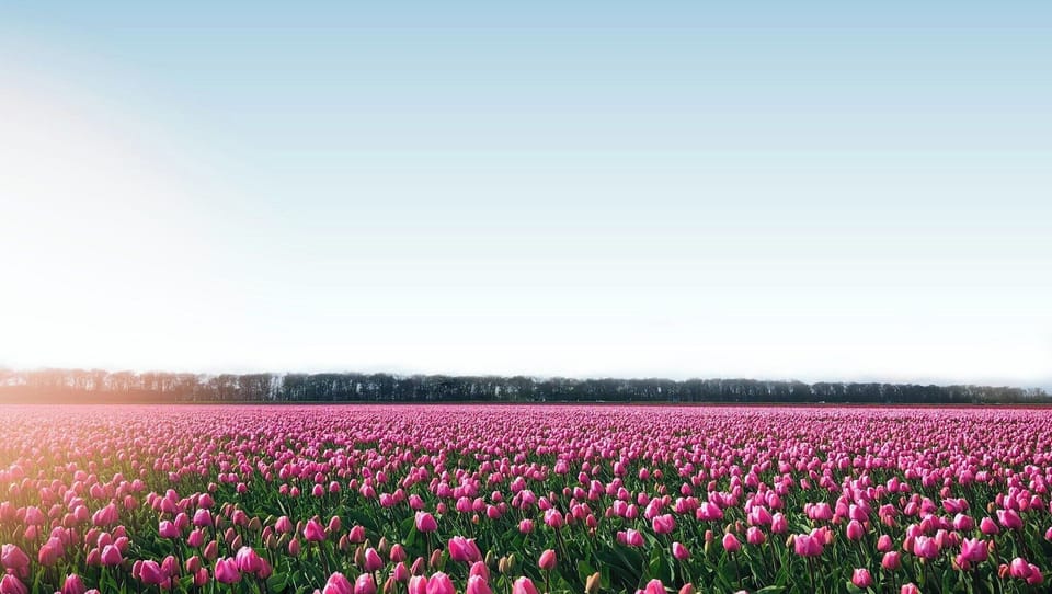 Surroundings [summer] (1-5 km)