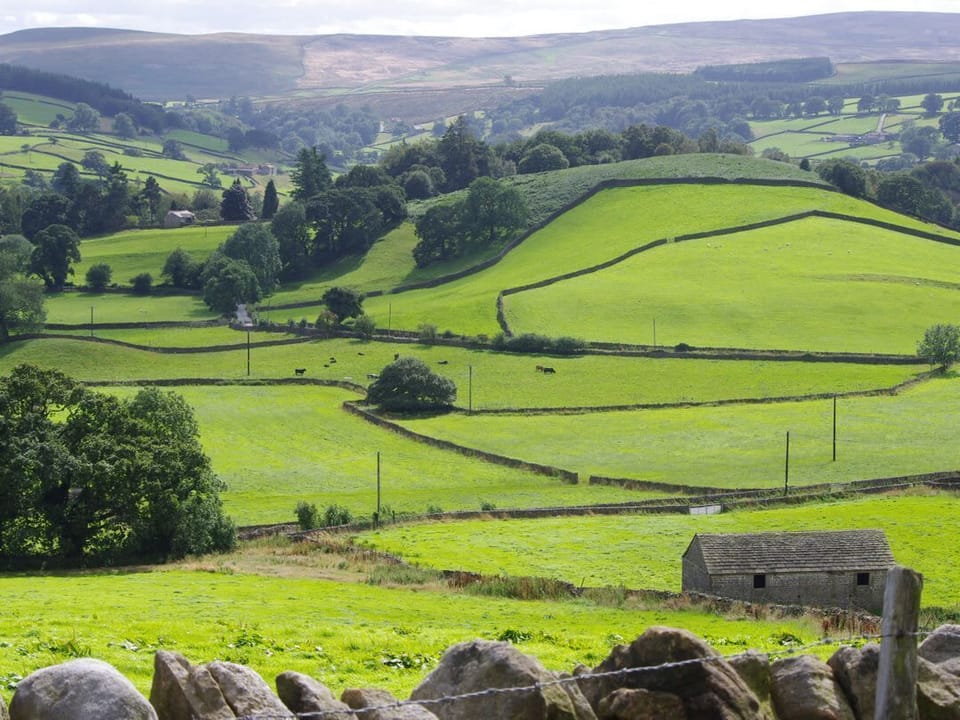 Fellside