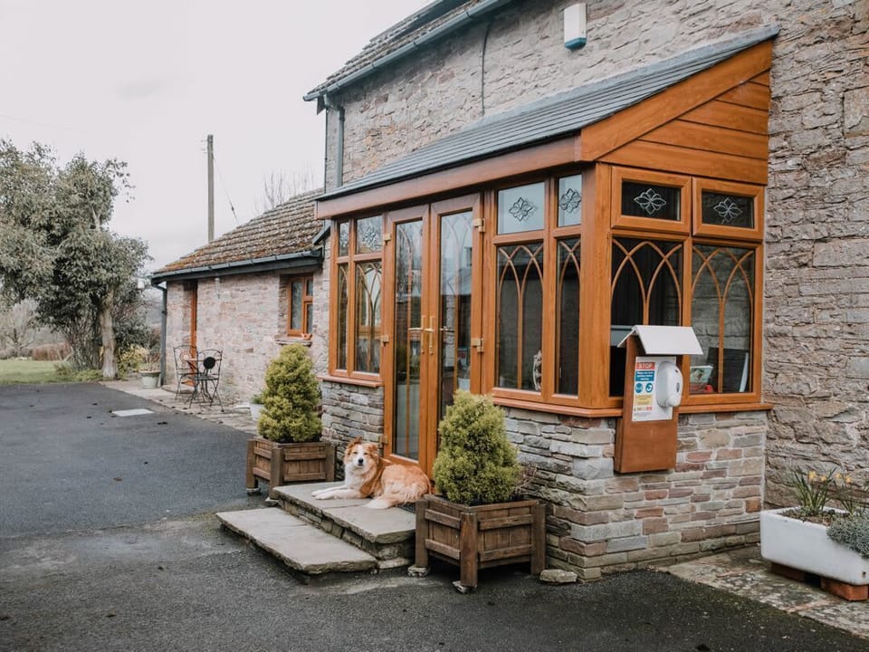 Stargazer's Field House