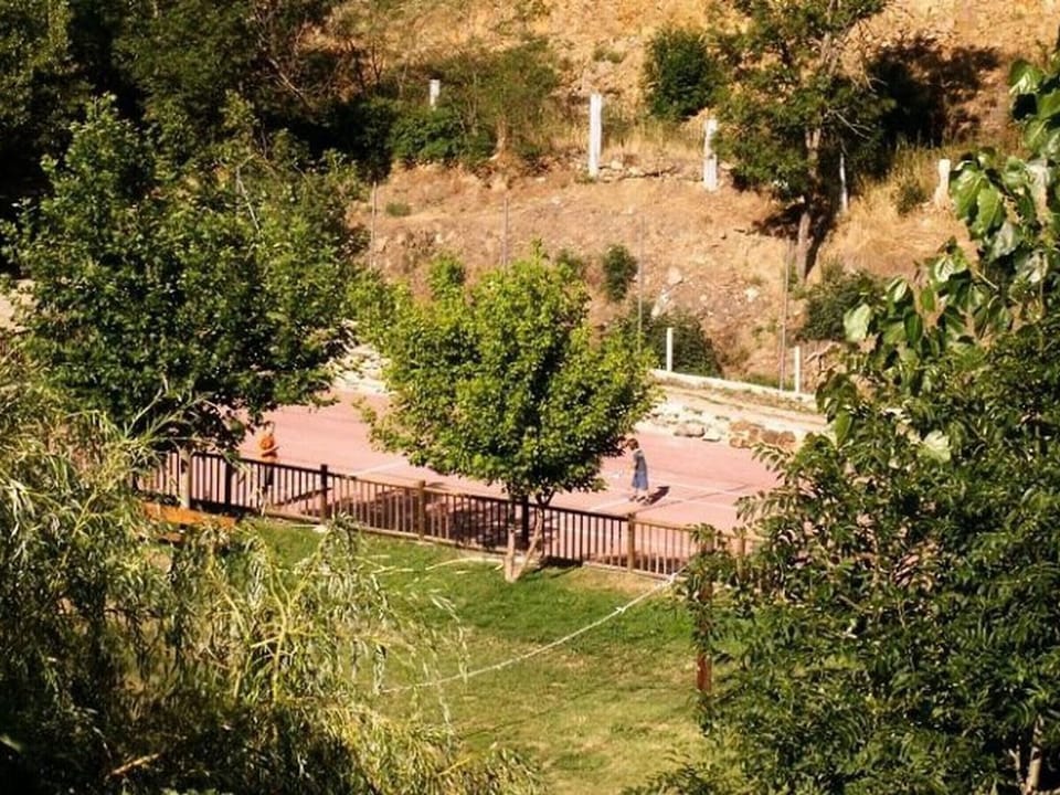 Sport court