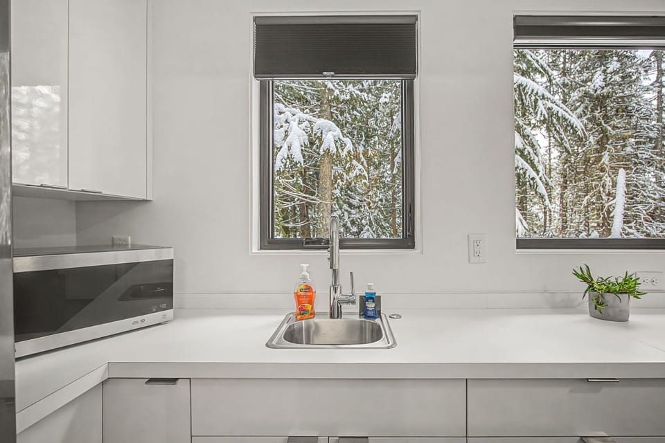 Cook your favorite meals in this sleek modern kitchen while gazing at the snow-dusted trees through large windows.