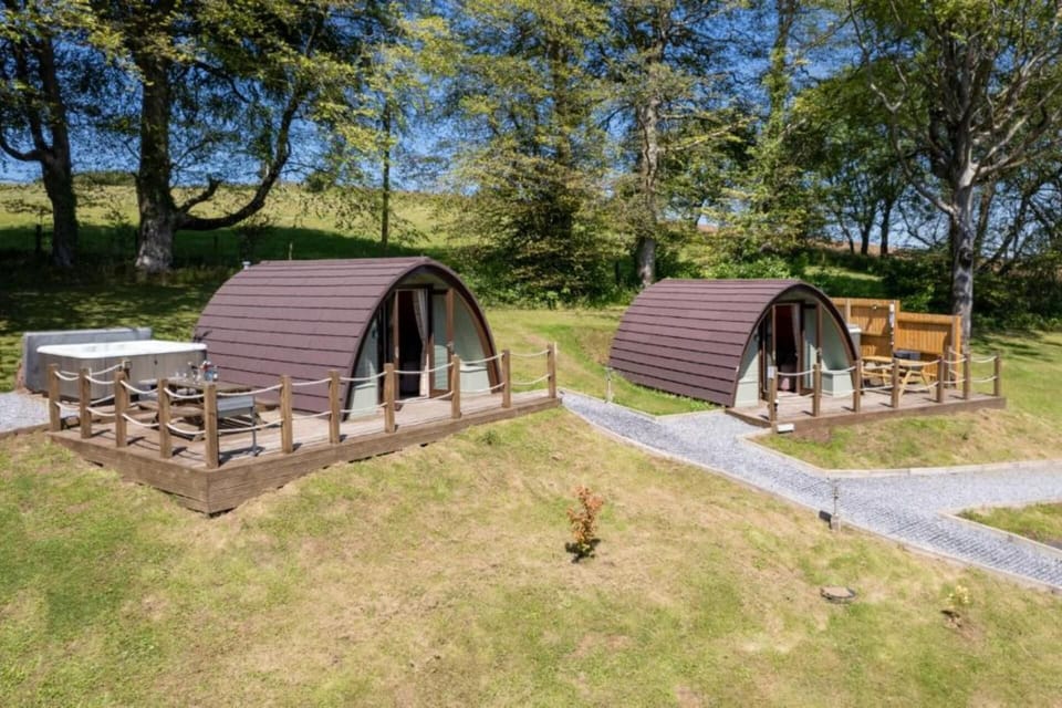 Treetops and Cwtch pods
