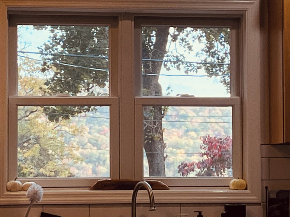 View from kitchen window 