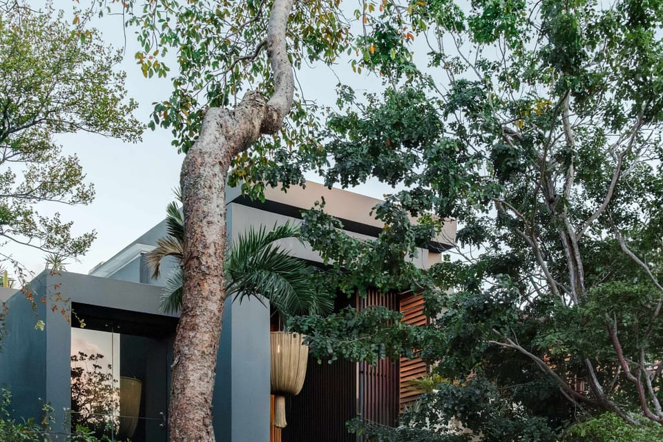 Aerial view of villa with tropical trees growing organically through and around the structure.