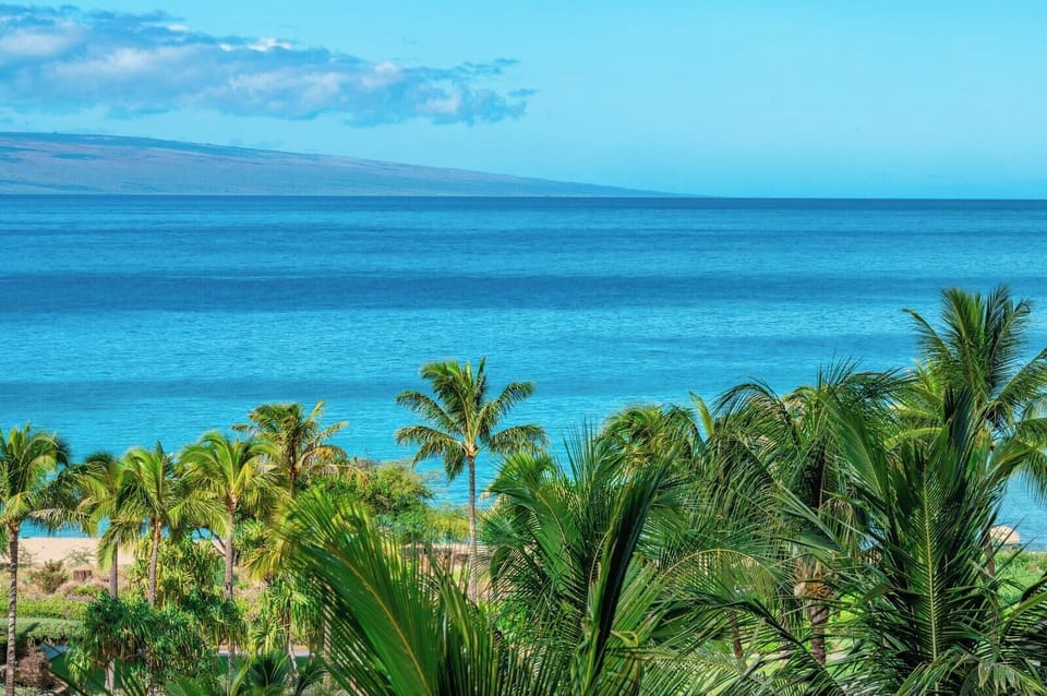 Tropical Escape: Lush Palms, Turquoise Sea, and Island Serenity. HKH-620