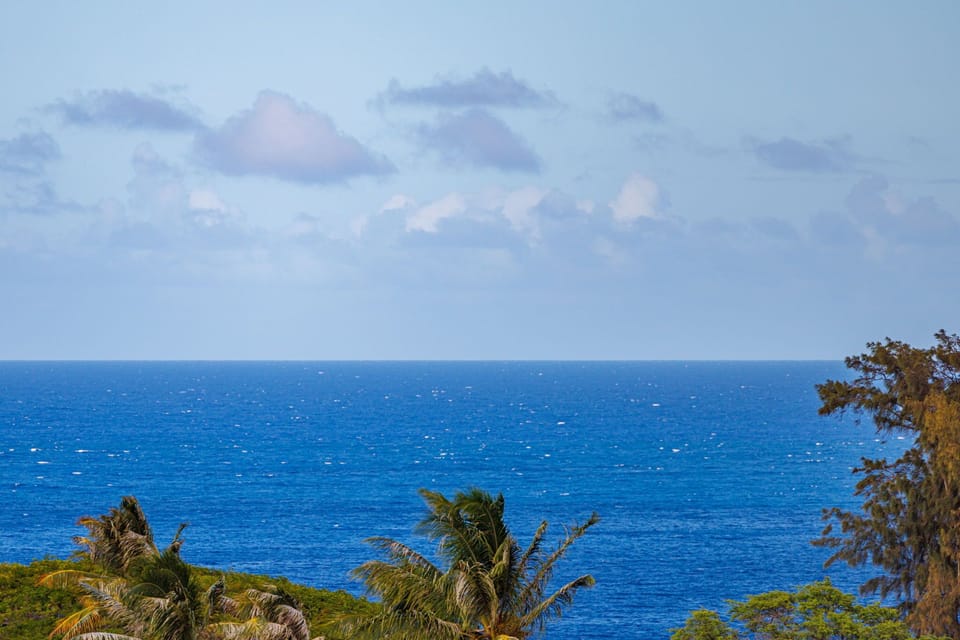 Stunning wide ocean vista beyond the treetops, you can enjoy from your lanai. KRV-724