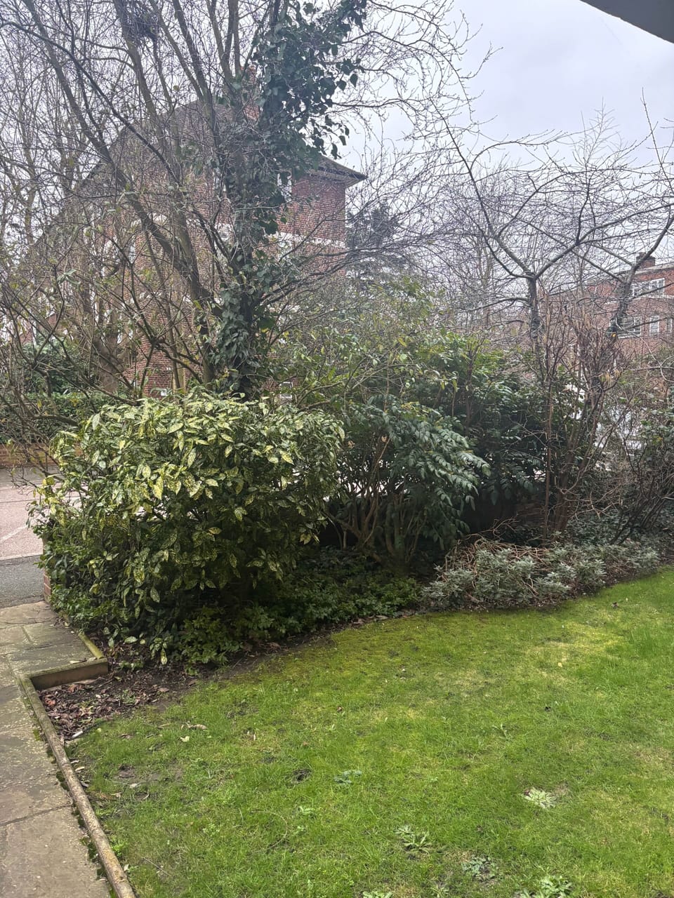 Grounds 