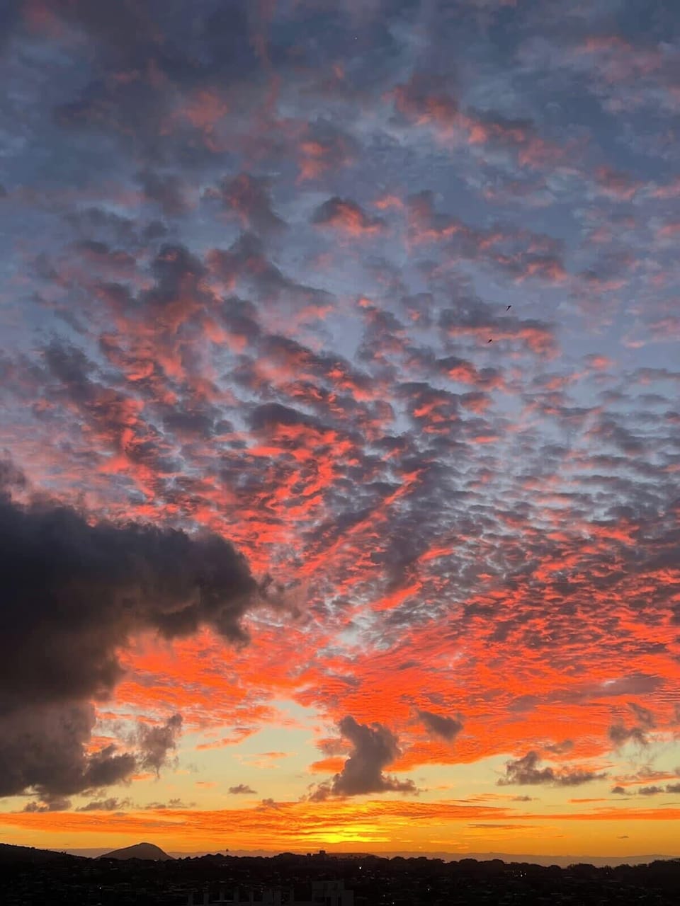 Sunrise out of the bedroom window. A glimpse of Koko Head in the distance, and Diamond Head just to the right of this picture.