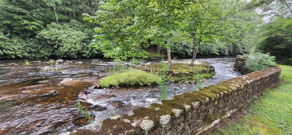 View of our Small Island. Actual Picture of our Private backyard and River