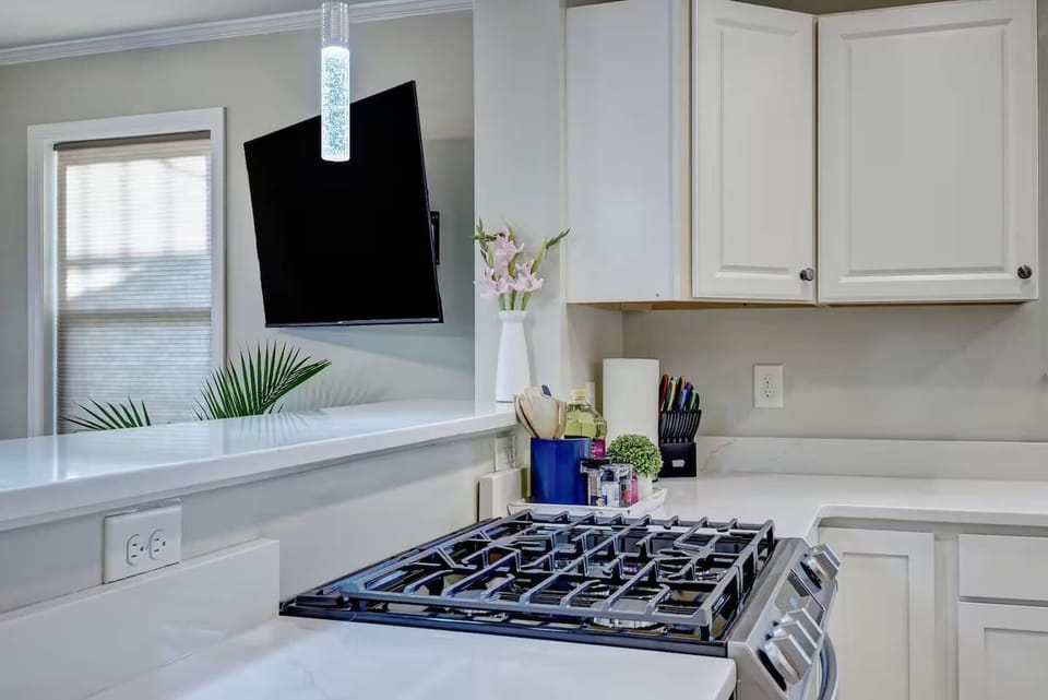 Chef's dream gas range
