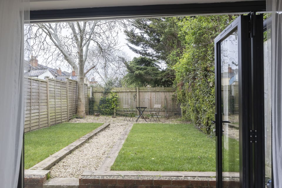 Back garden
