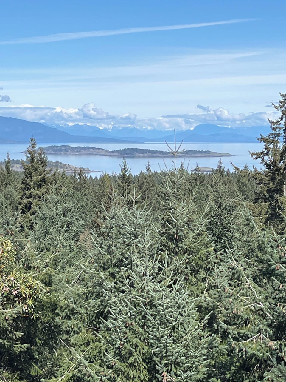 Enjoy the view!