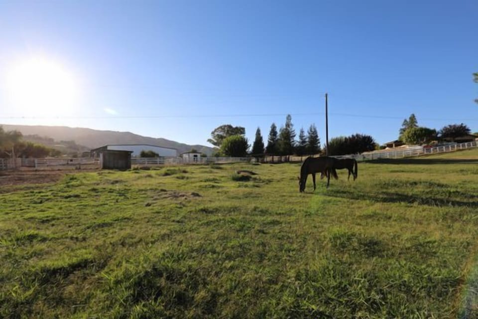 Wake up to open pastures and quiet mornings outdoors.