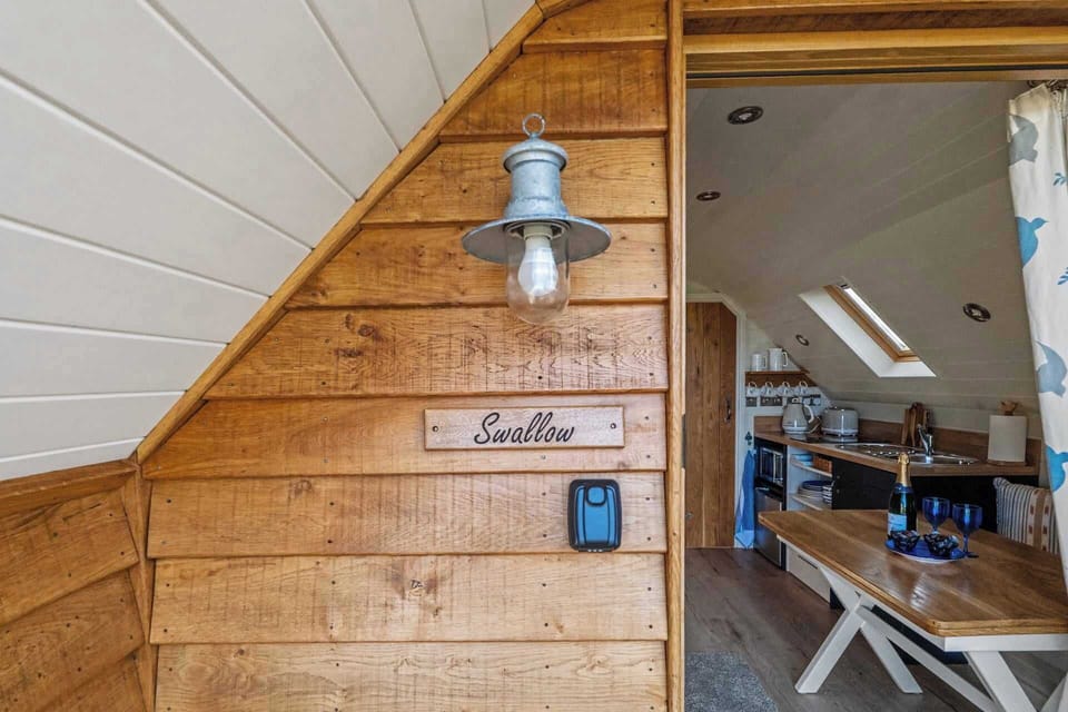 Take a peak inside Swallow
