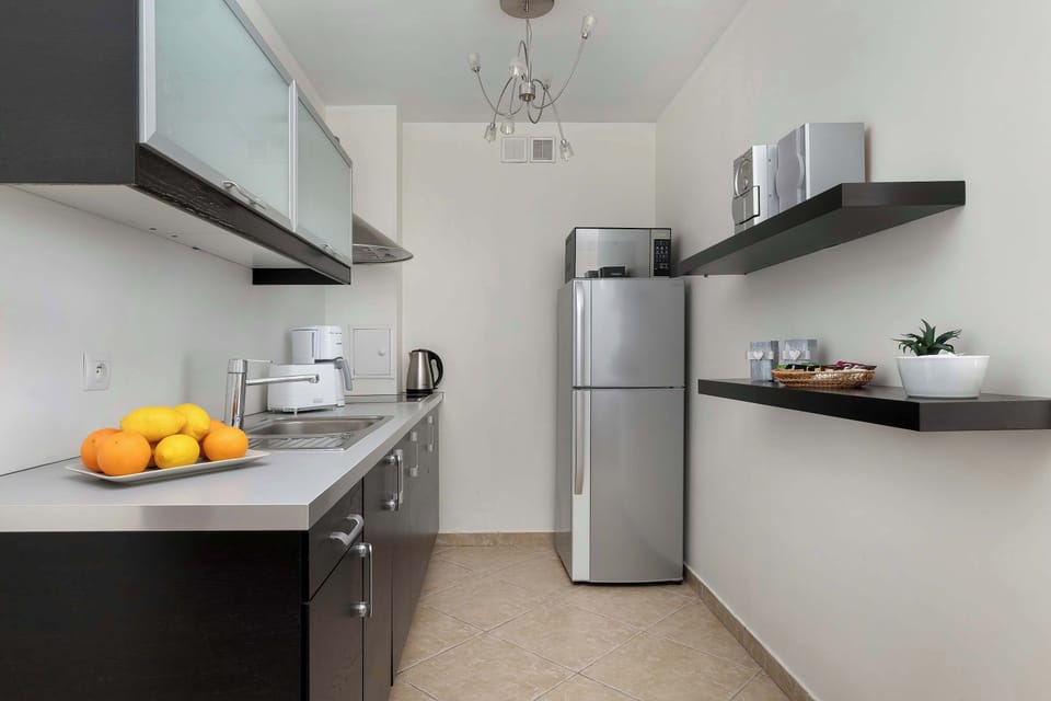 Another angle of the modern kitchen showing the induction stove and countertop. Clean and functional design is emphasized.