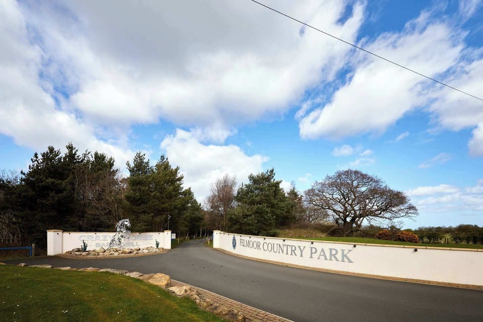Molly's Place, Morpeth - Host & Stay