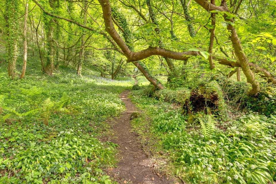 Nearby Walks