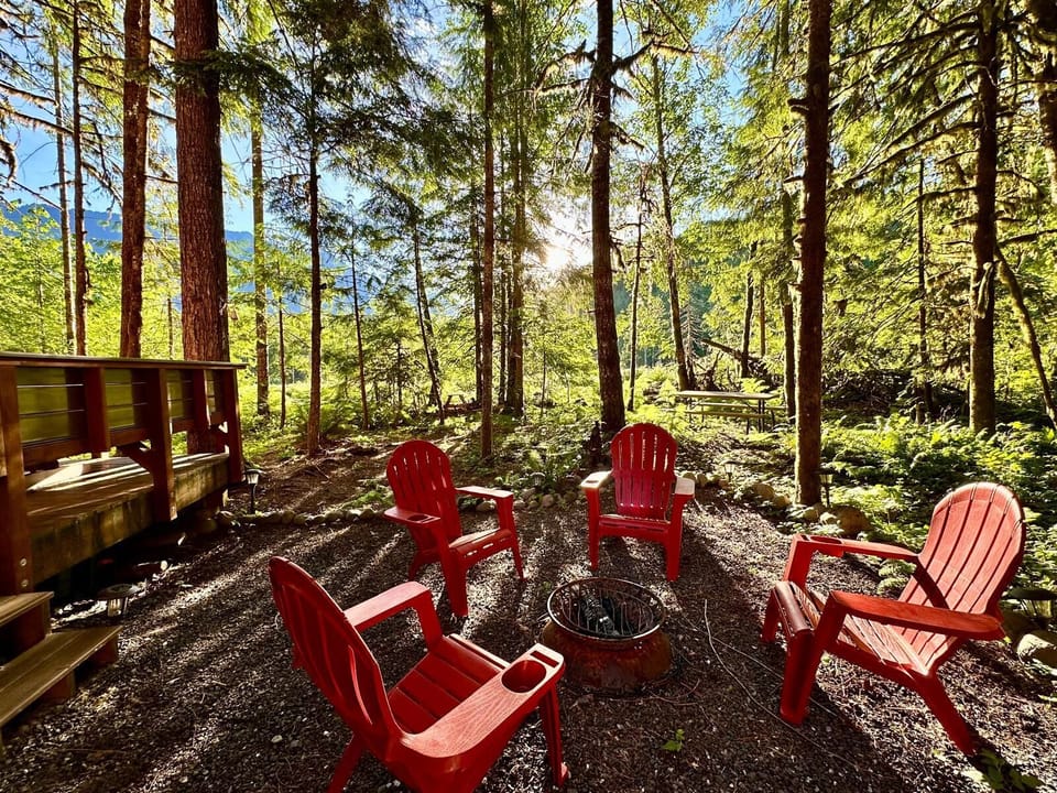 Golden forest retreat with fire pit, red chairs and peaceful woodland views