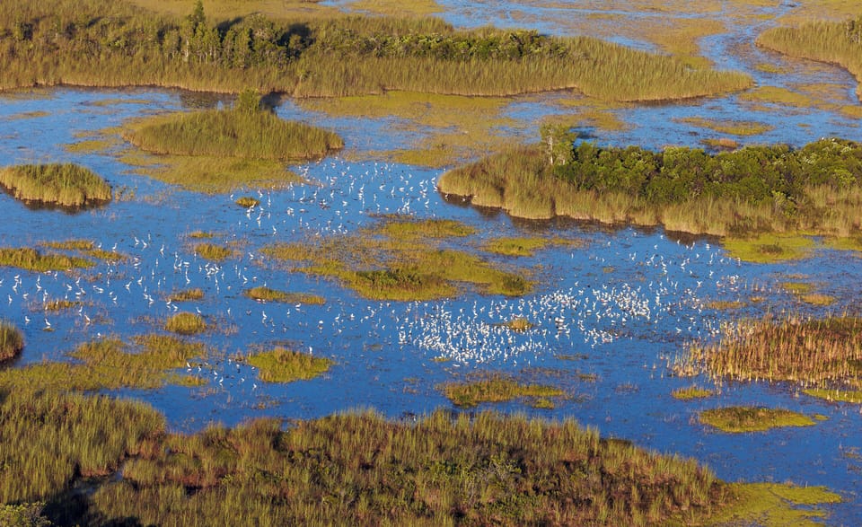 Arthur R. Marshall Loxahatchee National Wildlife Refuge
