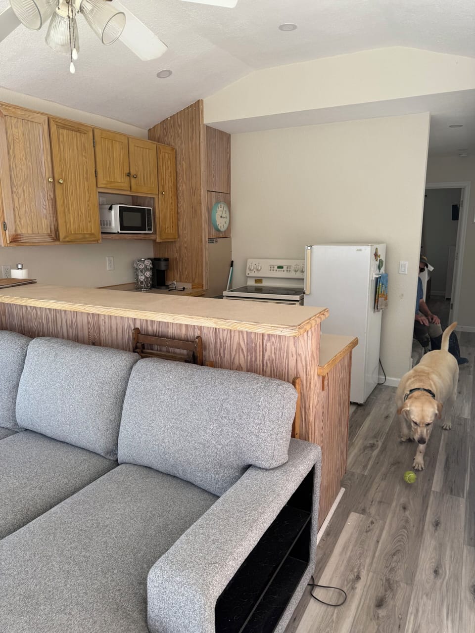 Kitchen from living room