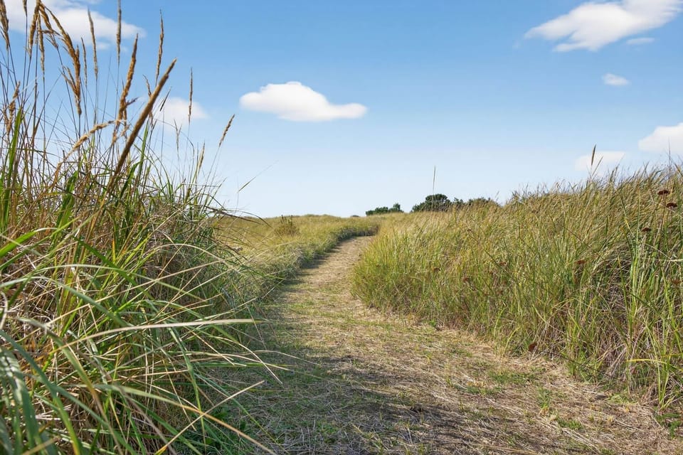 Through the dunes