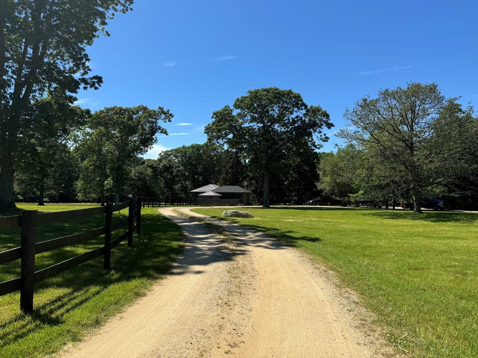 Driveway to the very peaceful and private home