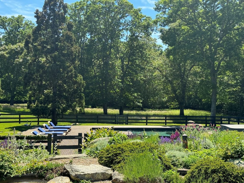 View of the pool and spa area