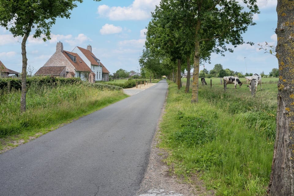 Immediate Surroundings [summer] (<1 km)