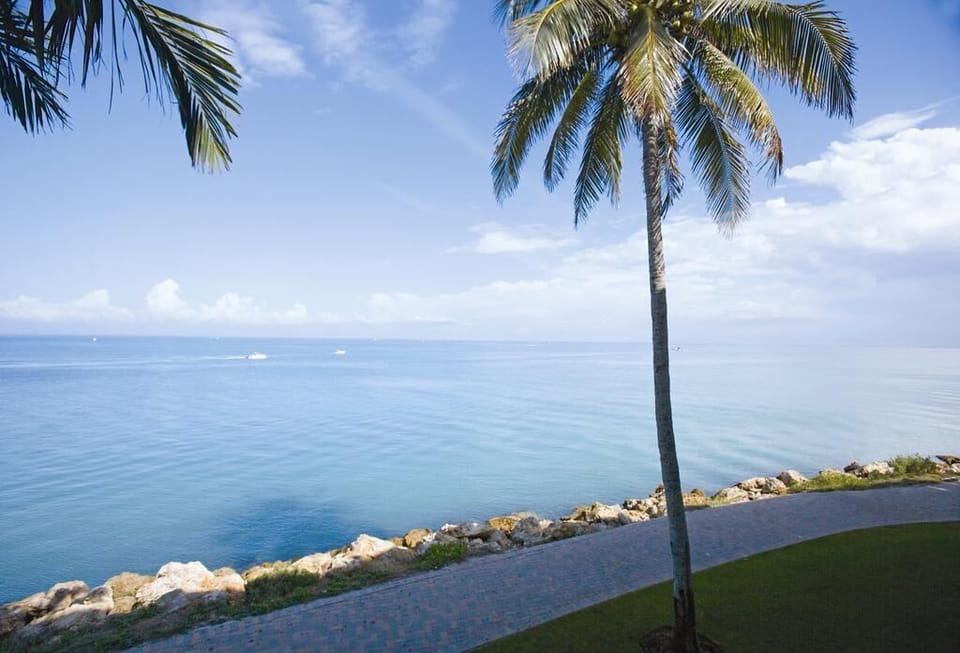 Breathe deeply as calm waters sparkle beyond the palm-lined shore.