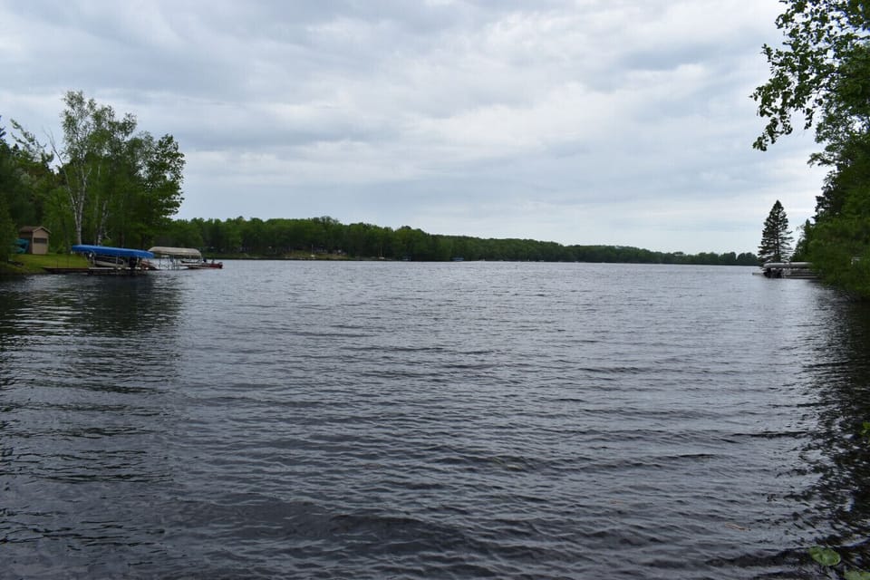 Pristine lake surrounded by lush forest offers peaceful waterfront setting with boat docks and natural shoreline for outdoor recreation.