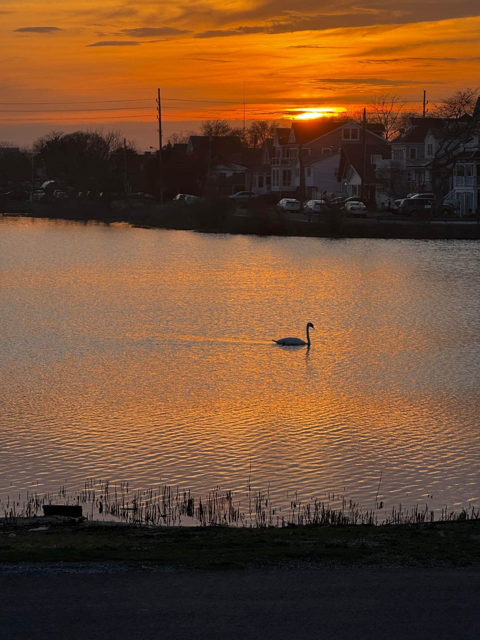 Sunset 3