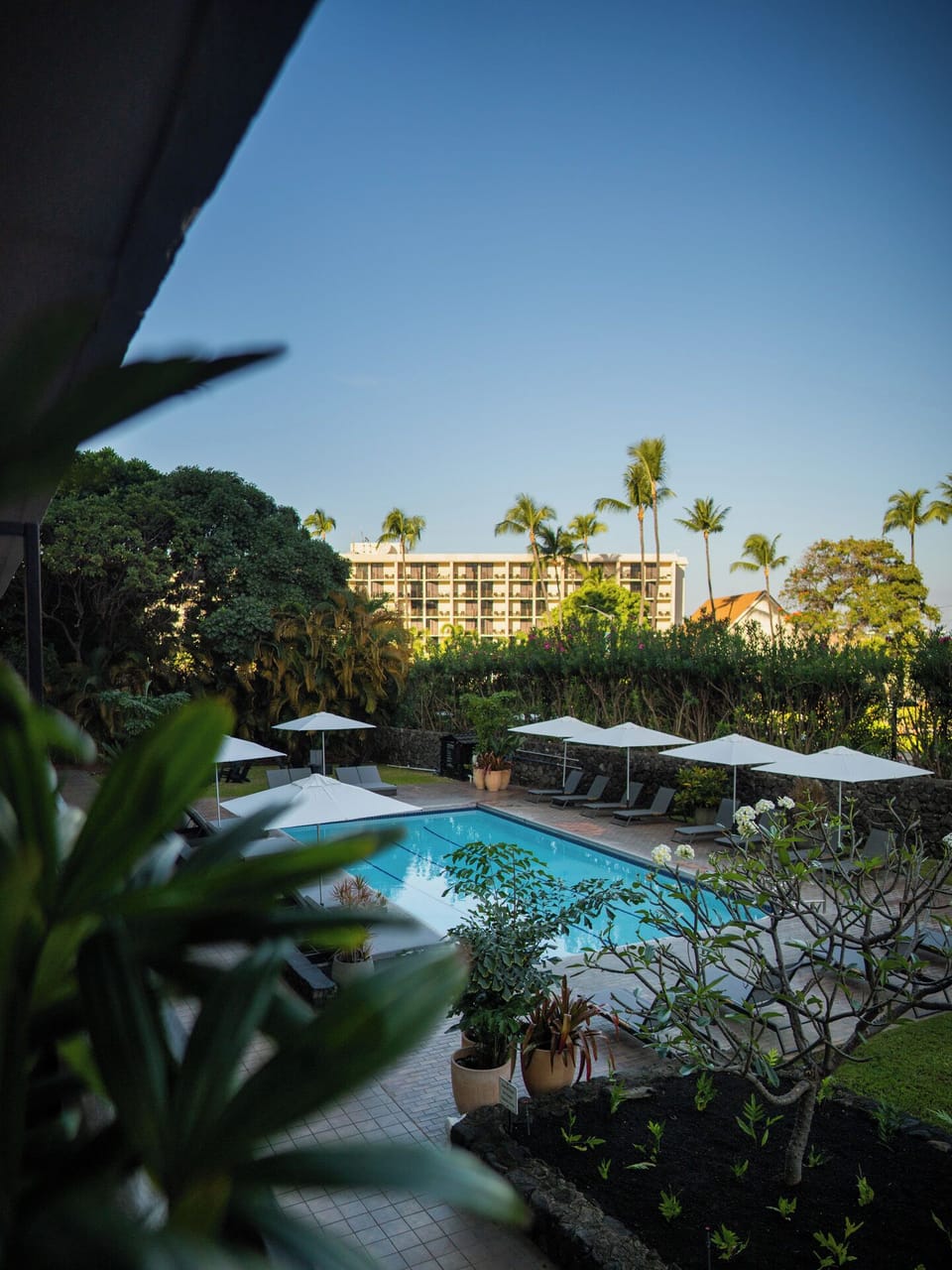 Soak up tranquil views from shaded loungers by sparkling water.