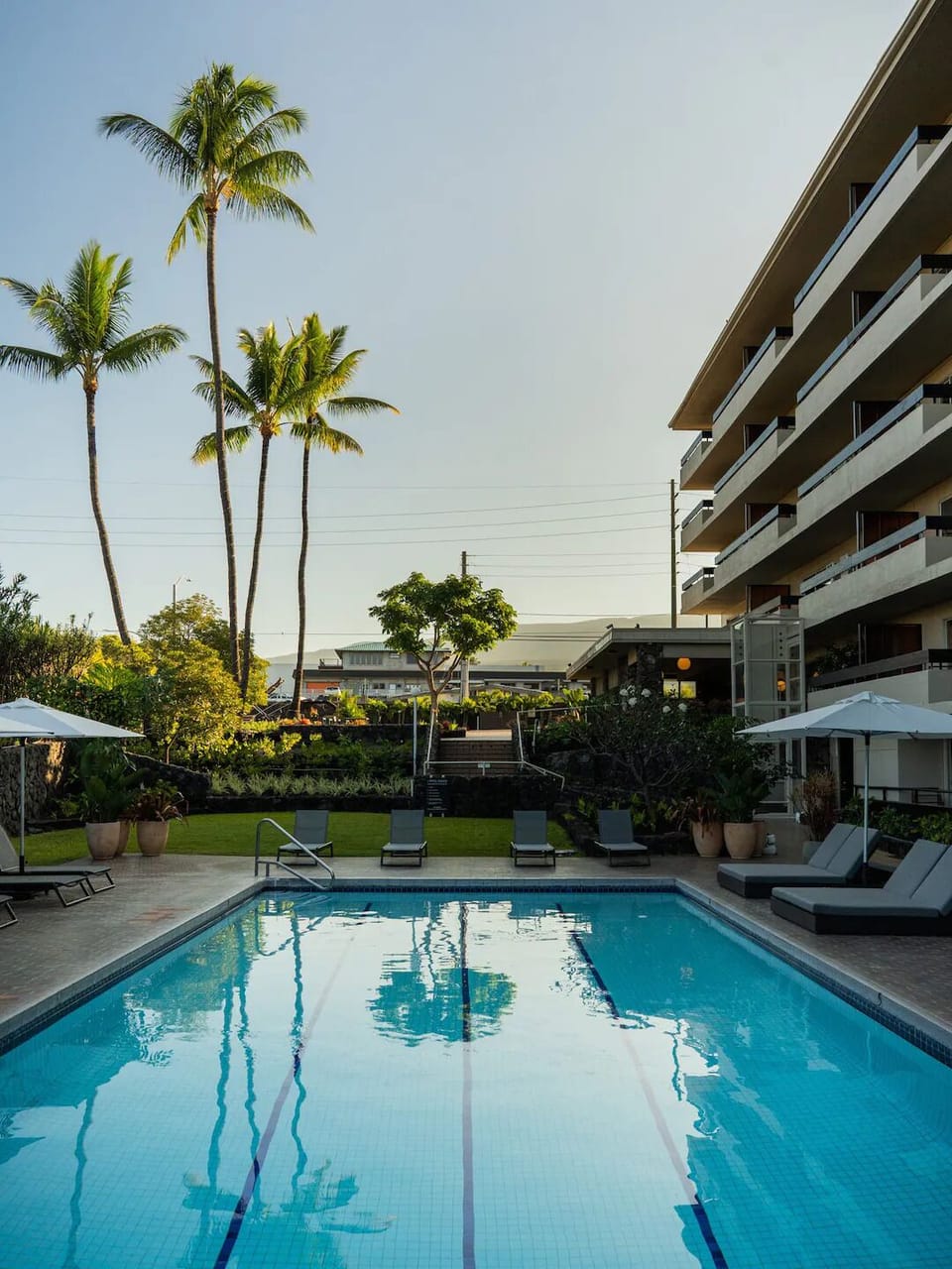 Dive into sunny pool days surrounded by palms and loungers.