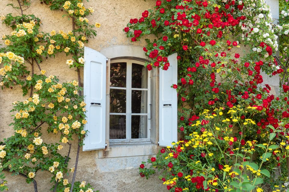 The chateau rose garden