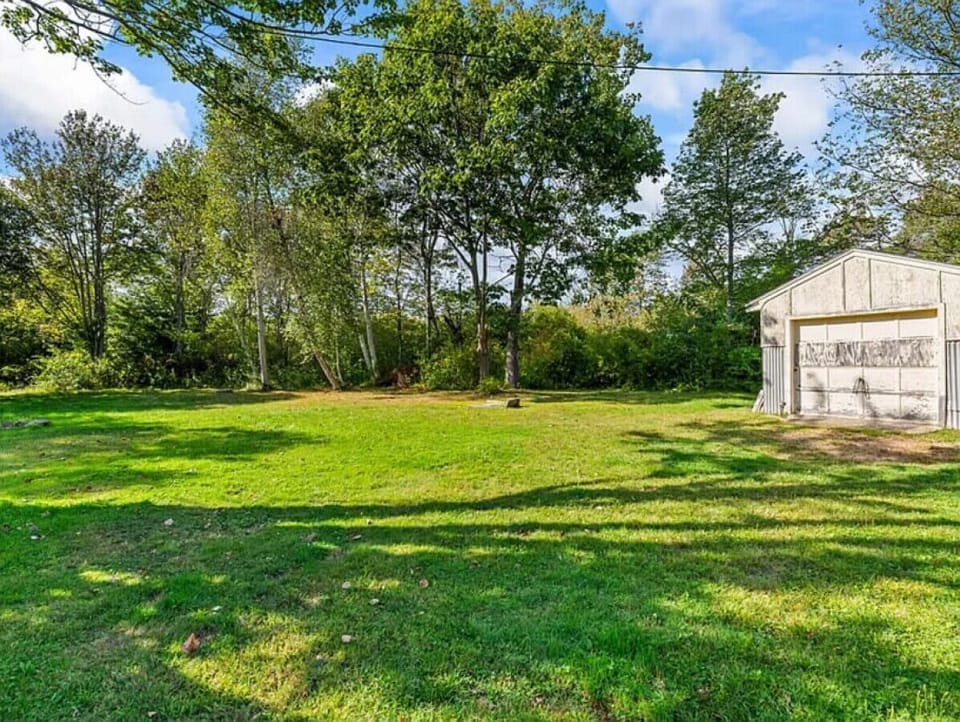 Backyard | Storage Shed | Lawn Area & Tree Line