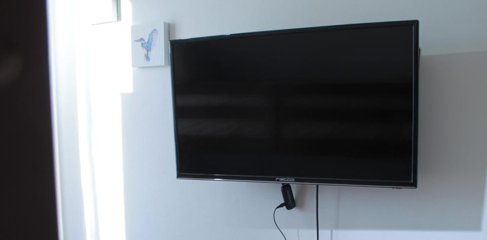 Television