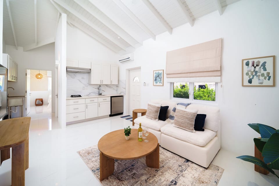 Open plan living area with kitchenette in annex