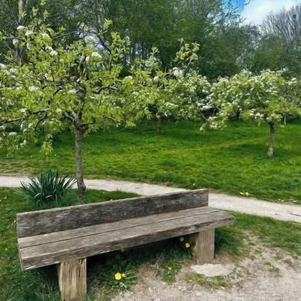 Orchard at Fairfield Nature Reserve