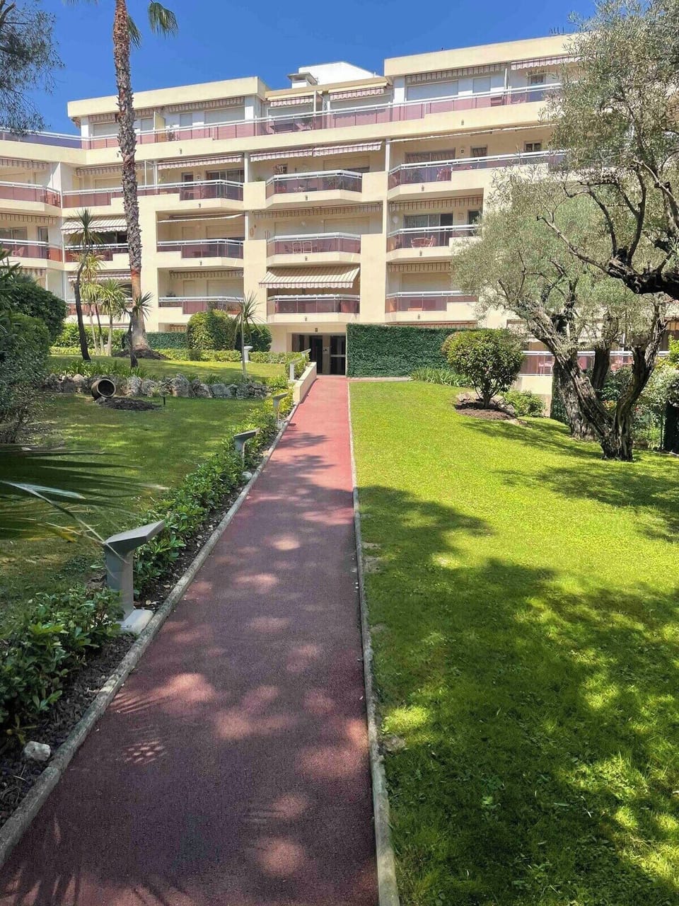 Backyard image 1