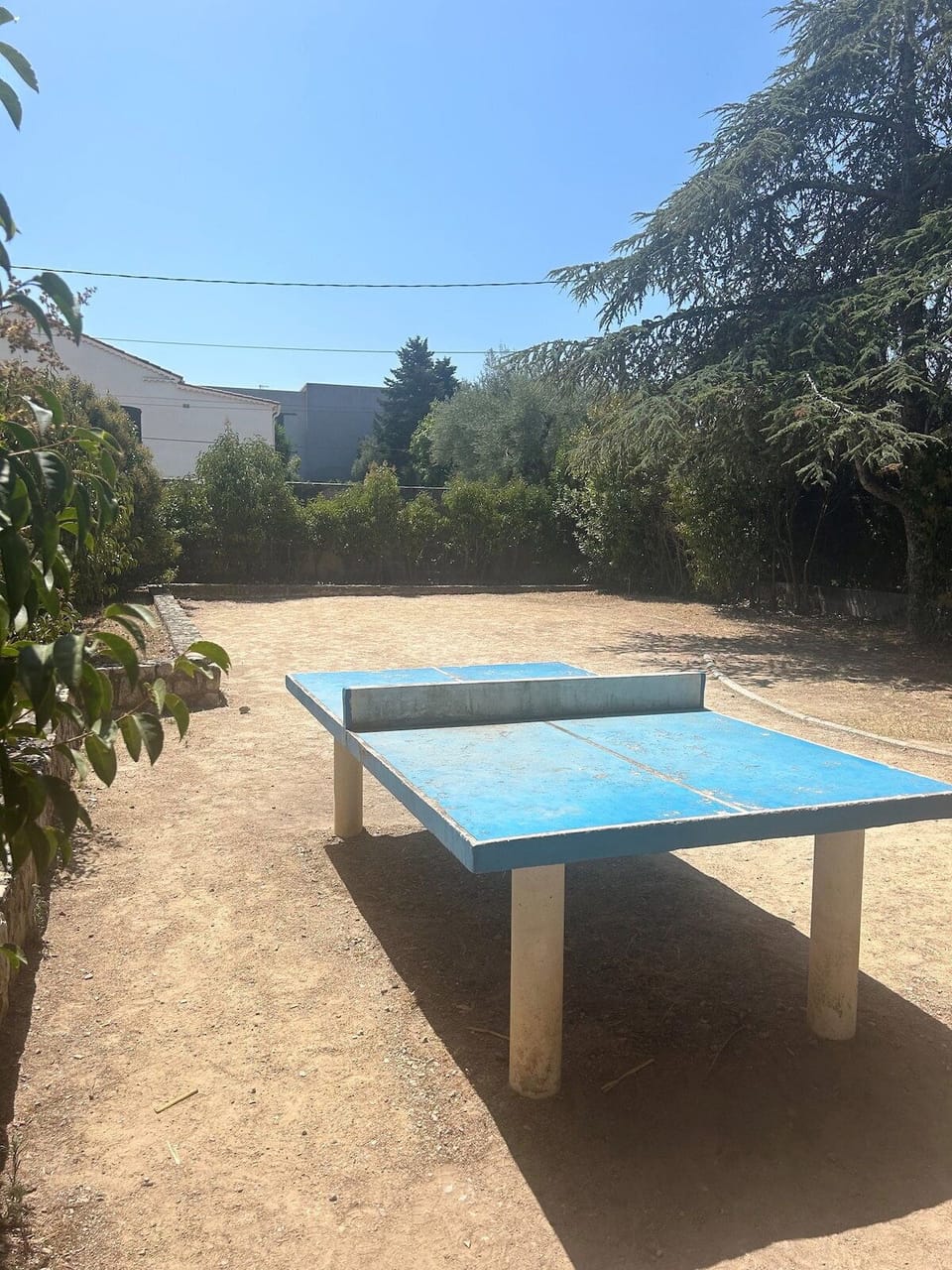 Garden image 2