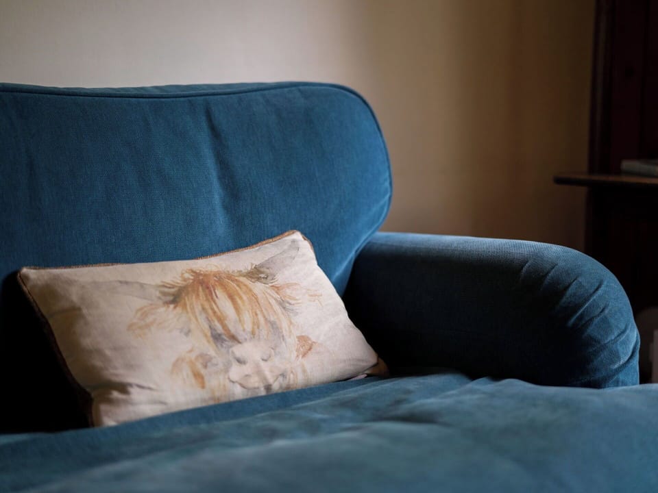Furniture, Textile, Couch, Interior Design, Cushion, Comfort, Brown, Flooring, Floor, Living Room