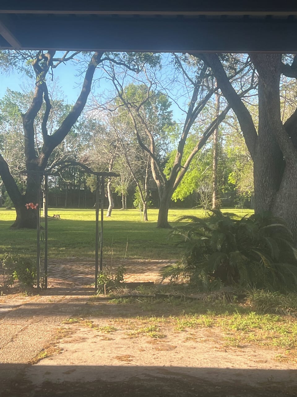 Property grounds