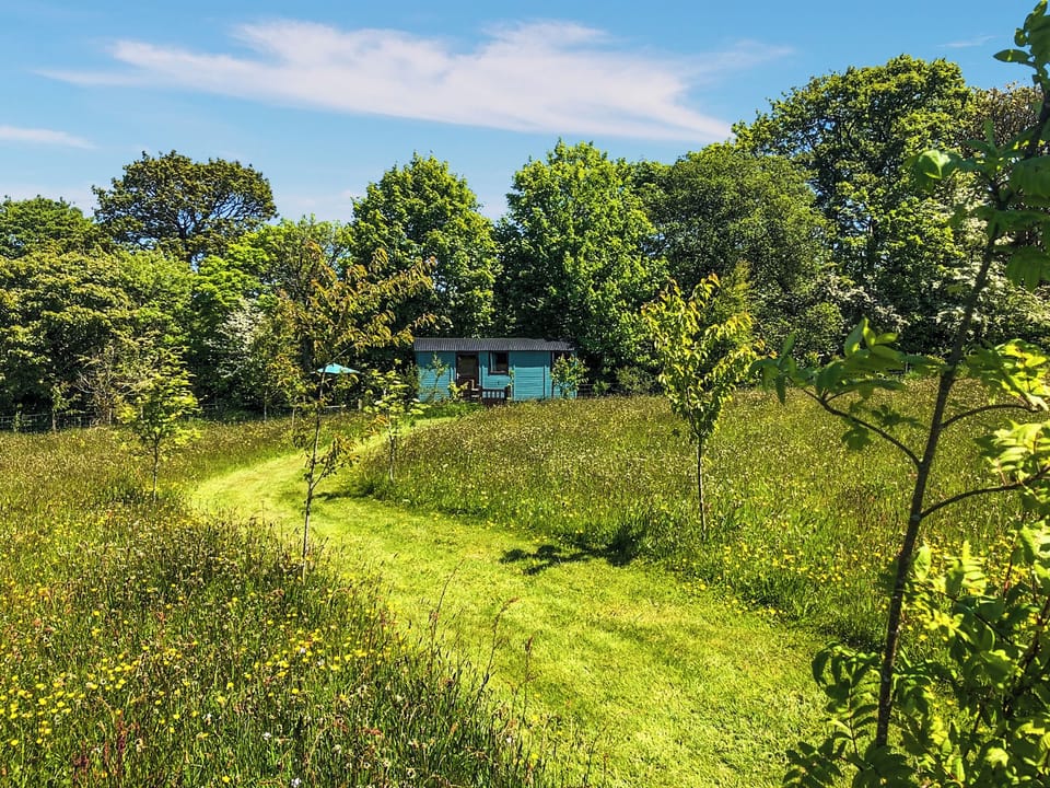 Exterior | Misty Shepherds Hut - Wild Meadow Camping, Plwmp