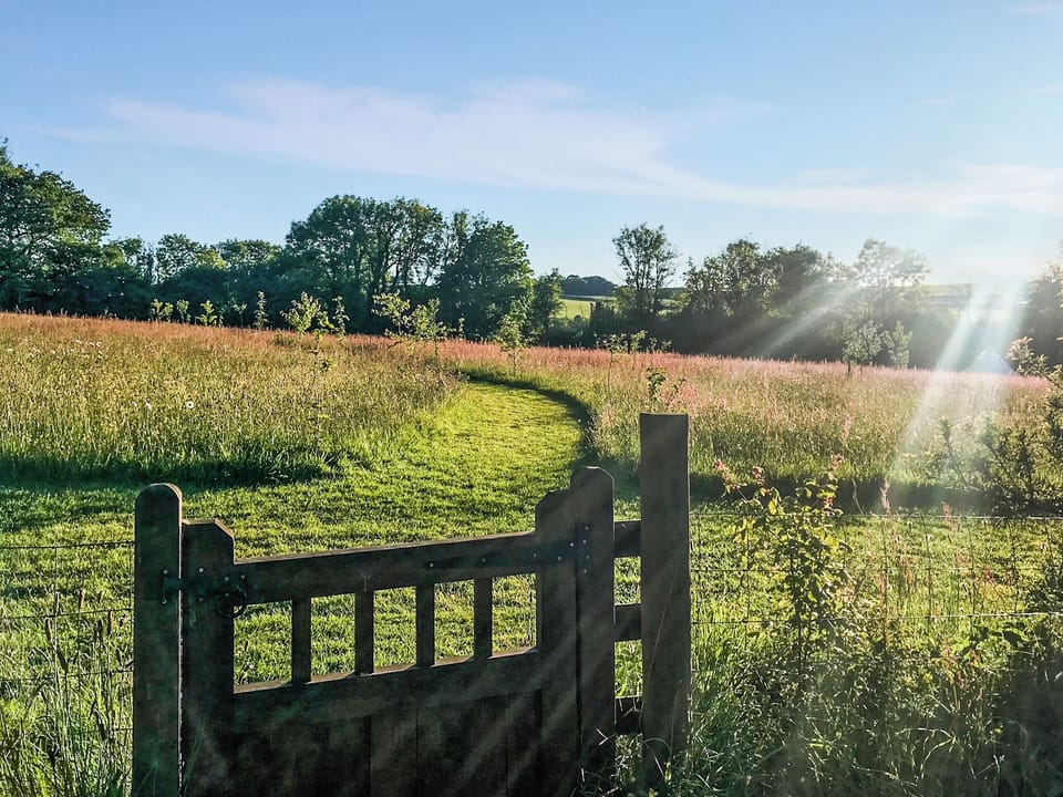 View | Fisherman&rsquo;s Cabin - Wild Meadow Camping, Plwmp