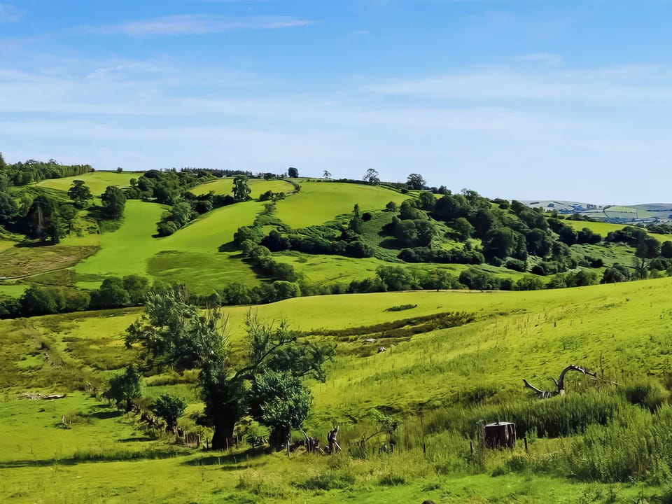 Surrounding area | Upper Caerfaelog, llanbister