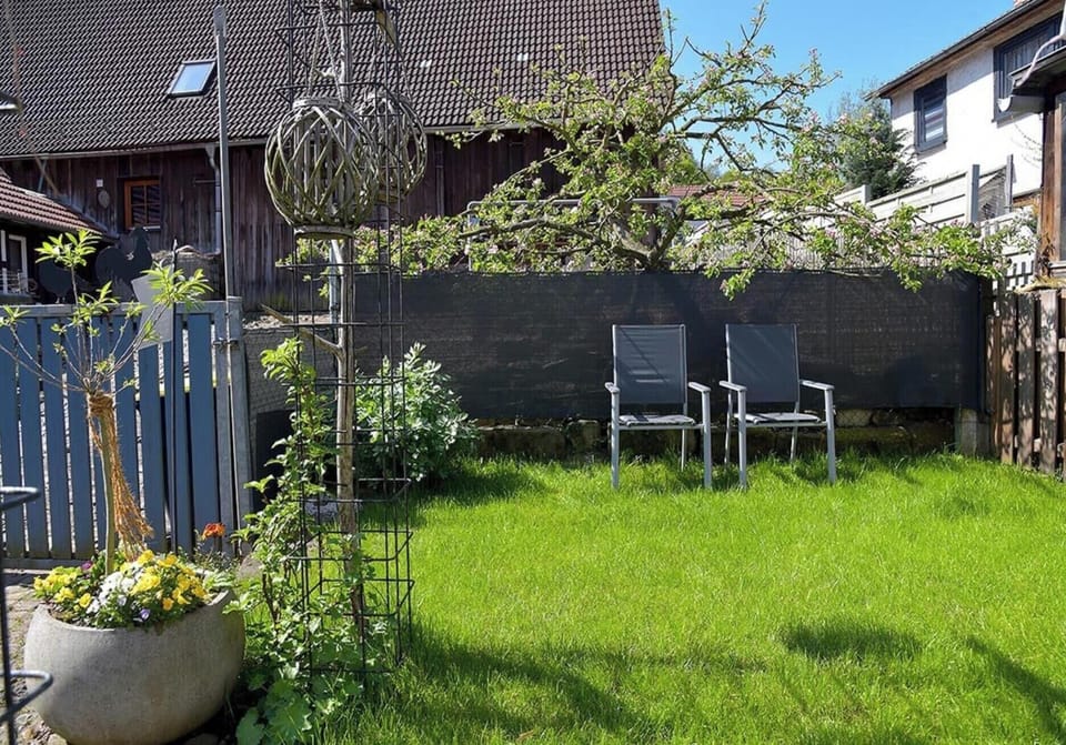 Garden [summer]