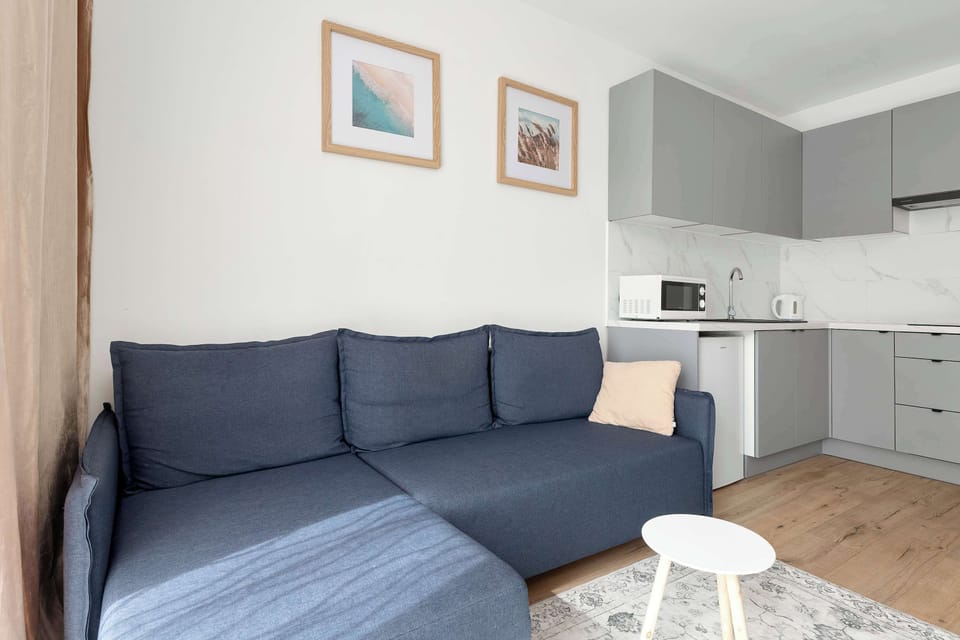 A living room with a bed that doubles as a sofa, positioned near a kitchenette in the background.