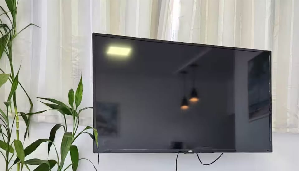 Television