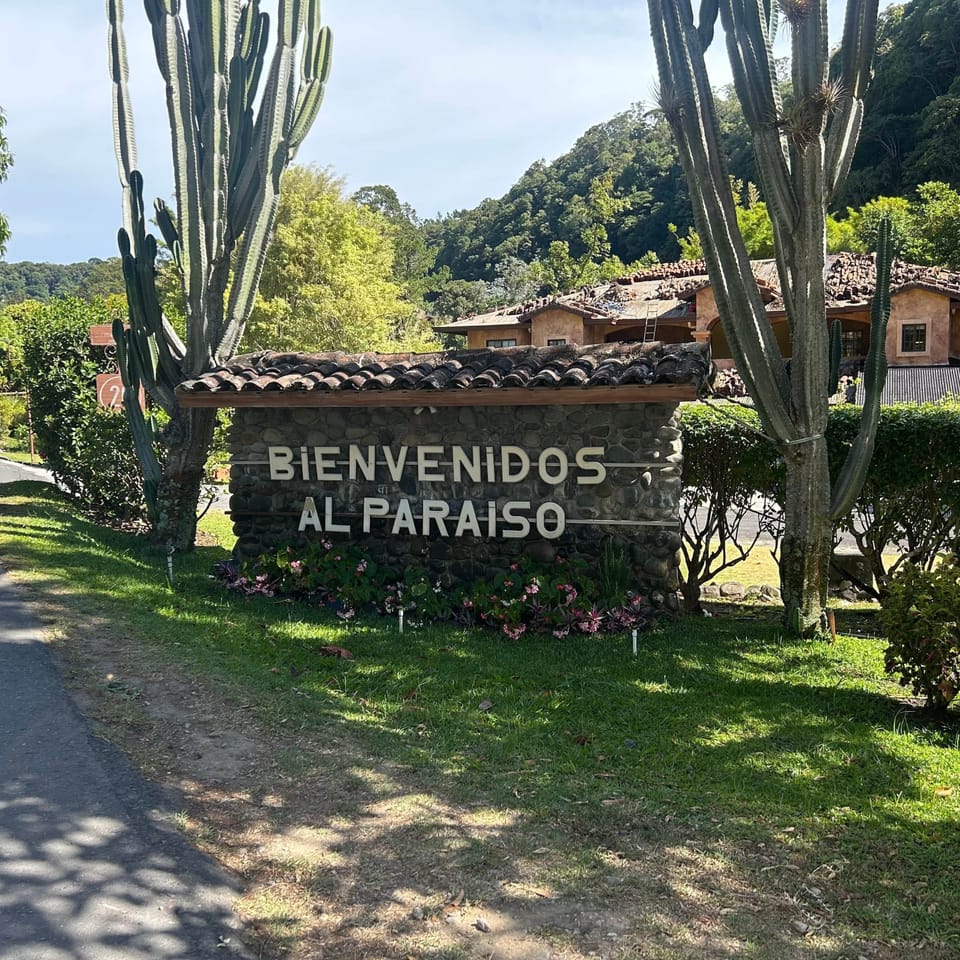 Welcome to Paradise!